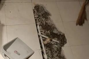 上林卫生间漏水检测电话
